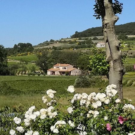 Domaine De Peilhan Roujan 外观 照片