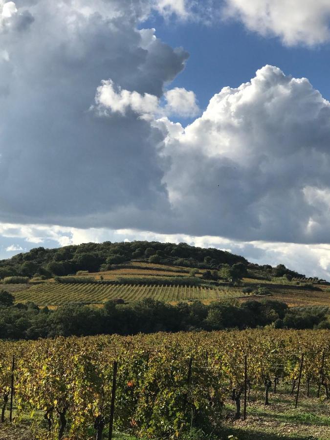 Domaine De Peilhan Roujan 外观 照片