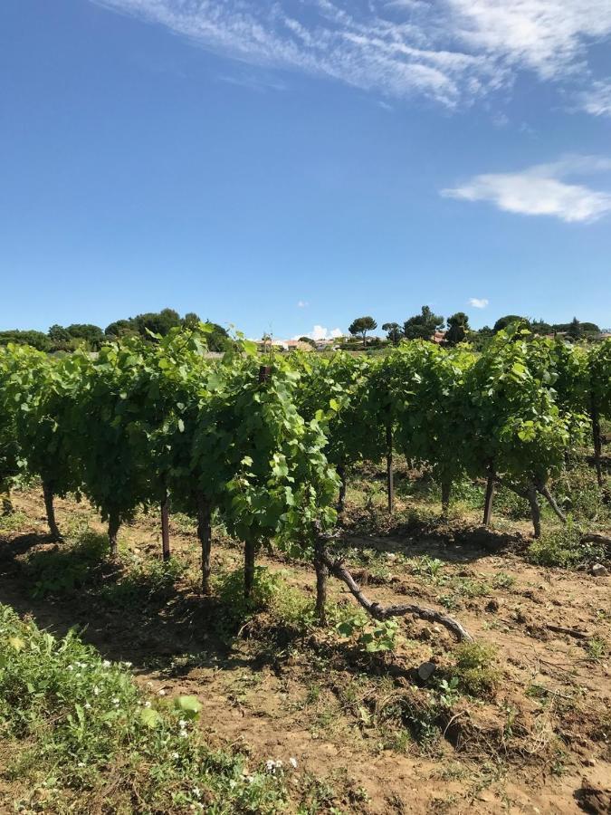 Domaine De Peilhan Roujan 外观 照片