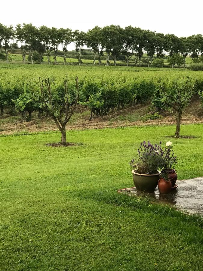 Domaine De Peilhan Roujan 外观 照片