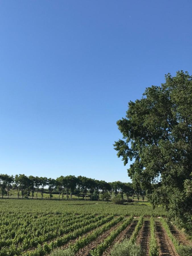 Domaine De Peilhan Roujan 外观 照片